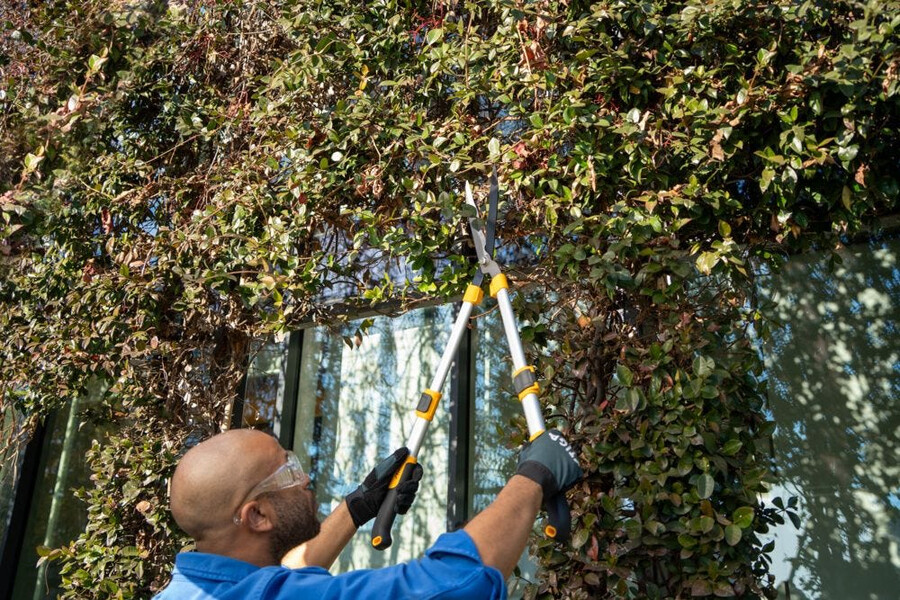 manual hedge shear - telescopic hedge shears