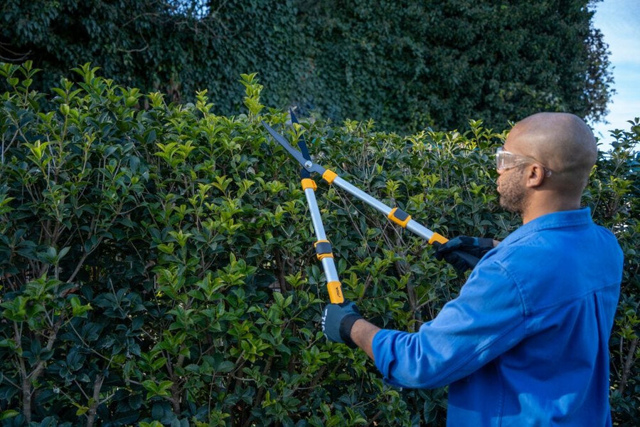manual hedge shear - telescopic hedge shears